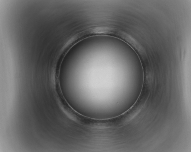 X0000113740530200909301013