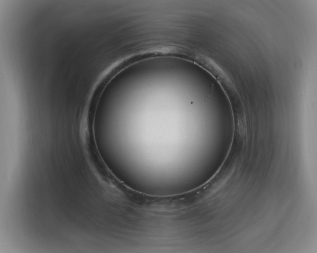 X0000113740532200909301013