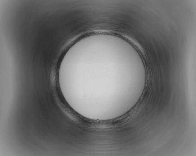 X0000113740533200909301013