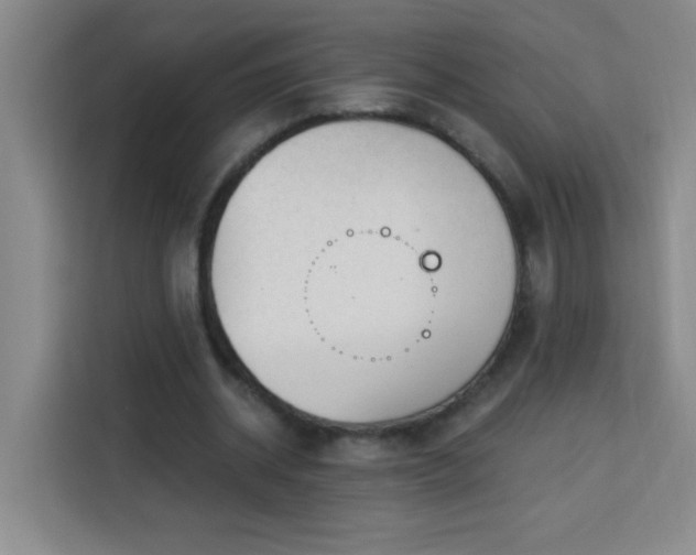 X0000113740534200909301013