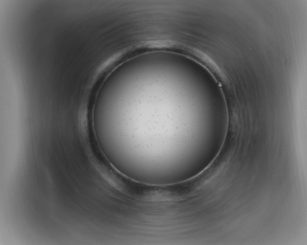 X0000113740535200909301013