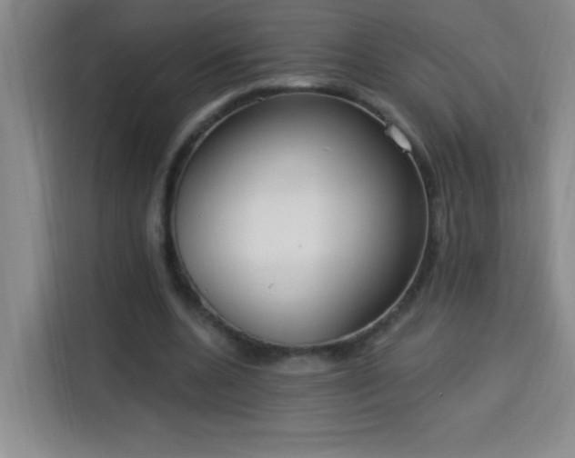 X0000113740536200909301013