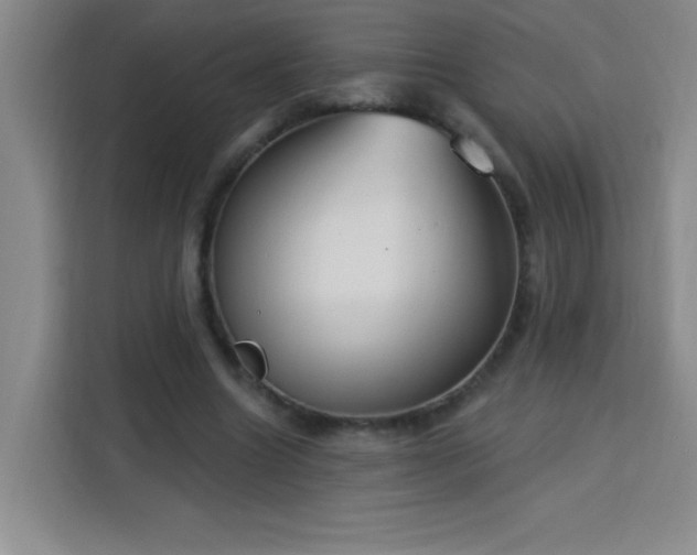 X0000113740538200909301013