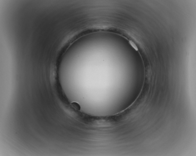 X0000113740544200909301013