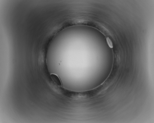 X0000113740546200909301013