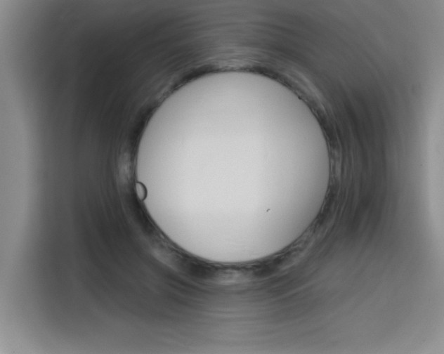 X0000113740549200909301013