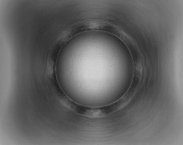 X0000113740554200909301013