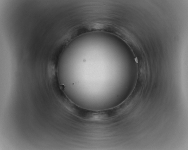 X0000113740555200909301013