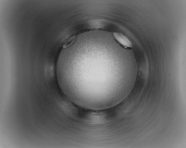 X0000113740556200909301013