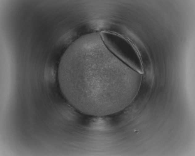 X0000113740558200909301013