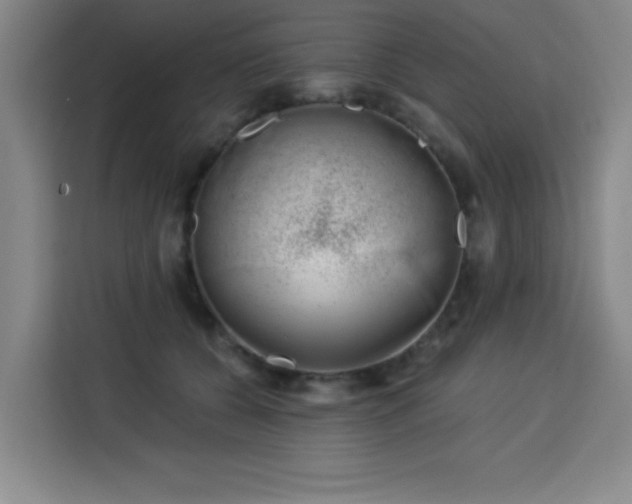 X0000113740560200909301013