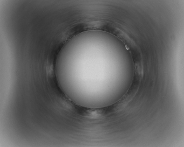 X0000113740564200909301013