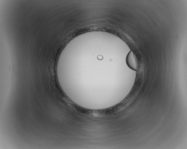 X0000113740565200909301013