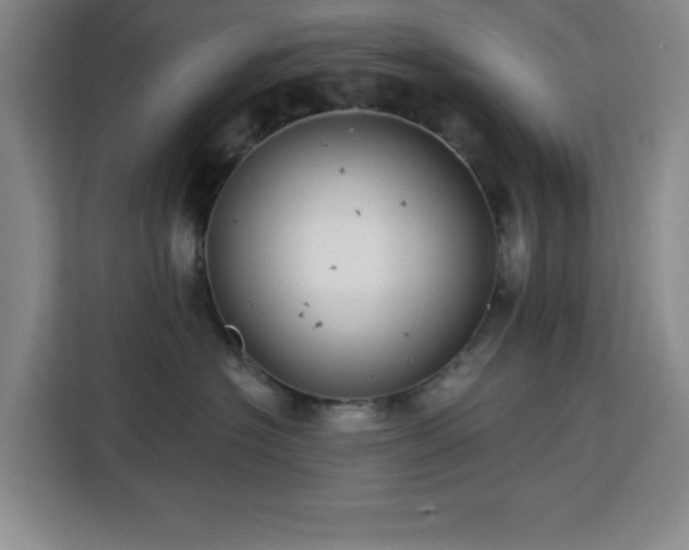 X0000113740574200909301013