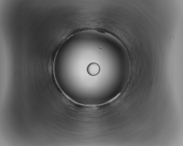 X0000113740576200909301013