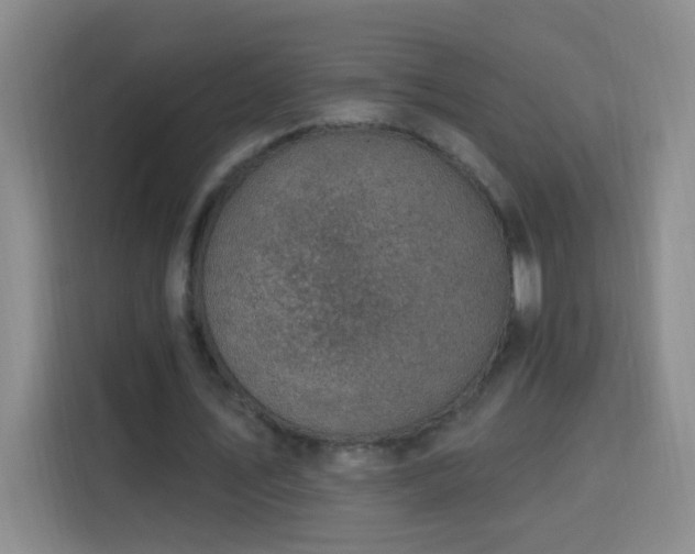 X0000113740579200909301013