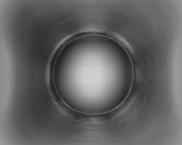 X0000113740580200909301013