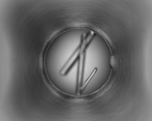 X0000113740581200909301013