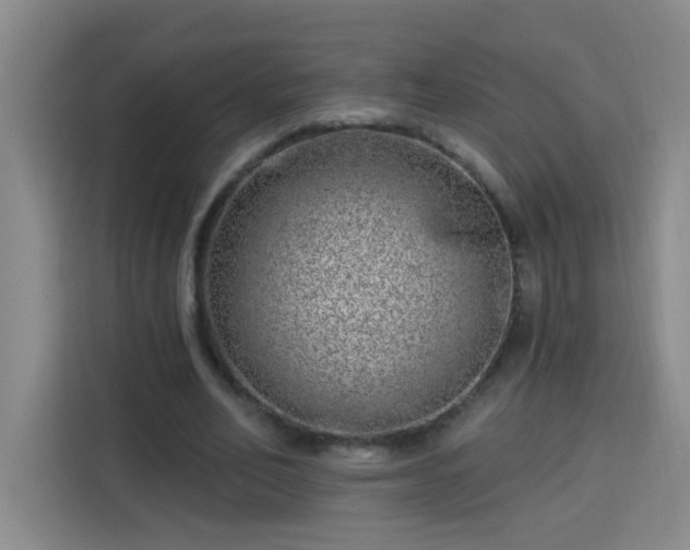 X0000113740582200909301013