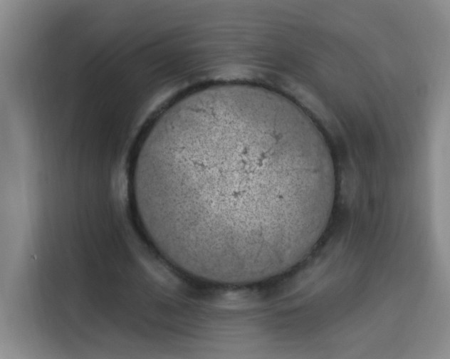 X0000113740584200909301013