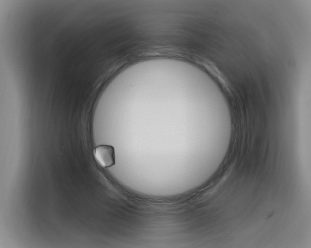 X0000113740585200909301013