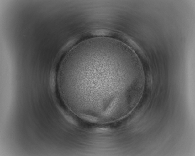 X0000113740586200909301013