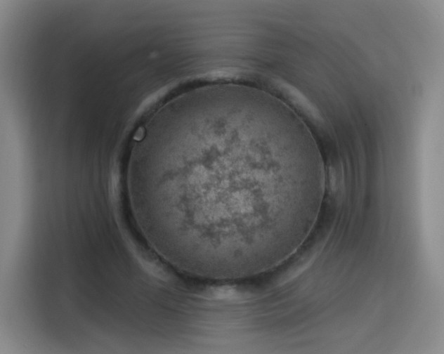 X0000113740588200909301013