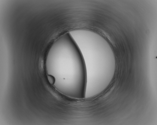 X0000113740589200909301013