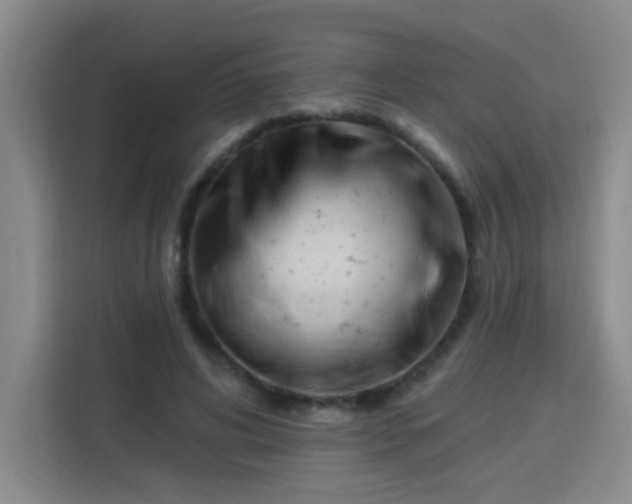 X0000113740592200909301013