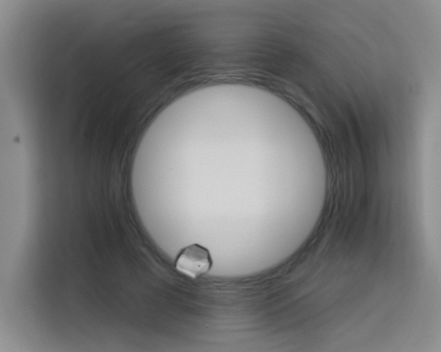 X0000113740593200909301013