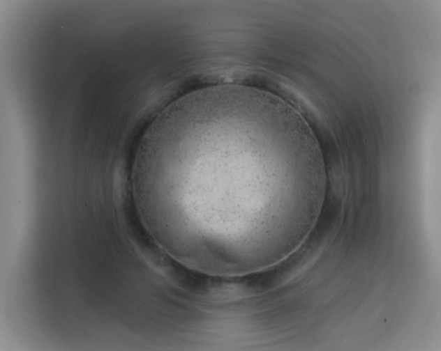 X0000113740594200909301013