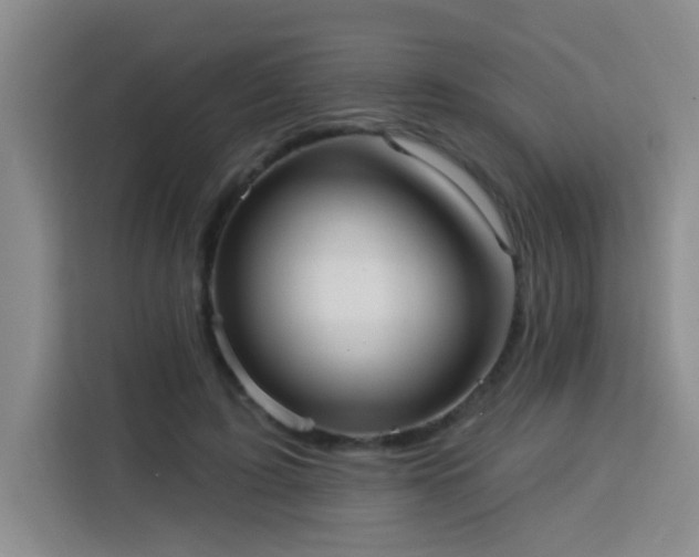 X0000113740595200909301013