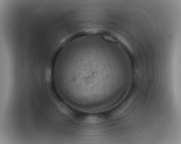 X0000113740596200909301013