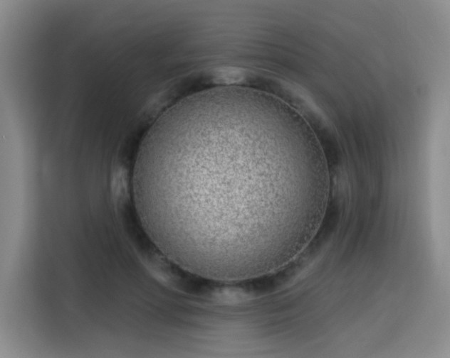 X0000113740598200909301013