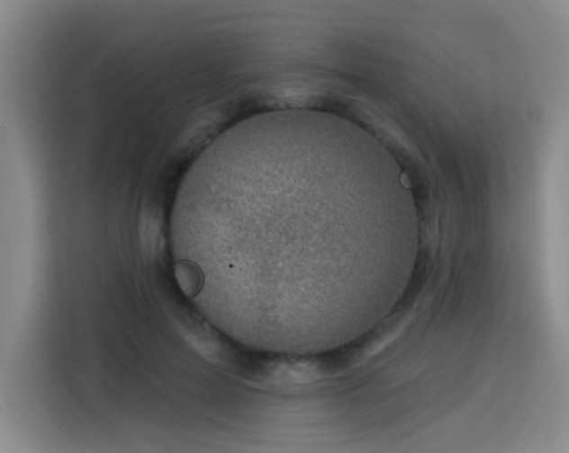 X0000113740599200909301013