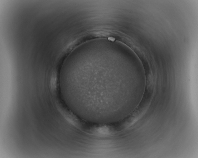 X0000113740600200909301013