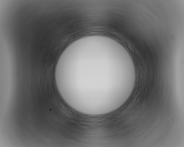 X0000113740601200909301013