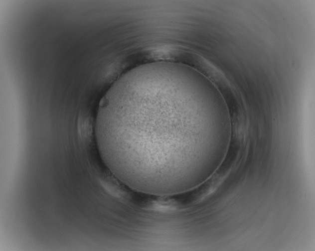 X0000113740603200909301013