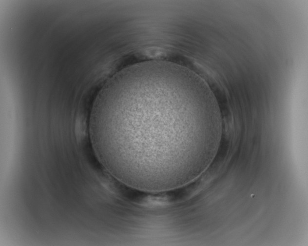 X0000113740606200909301012