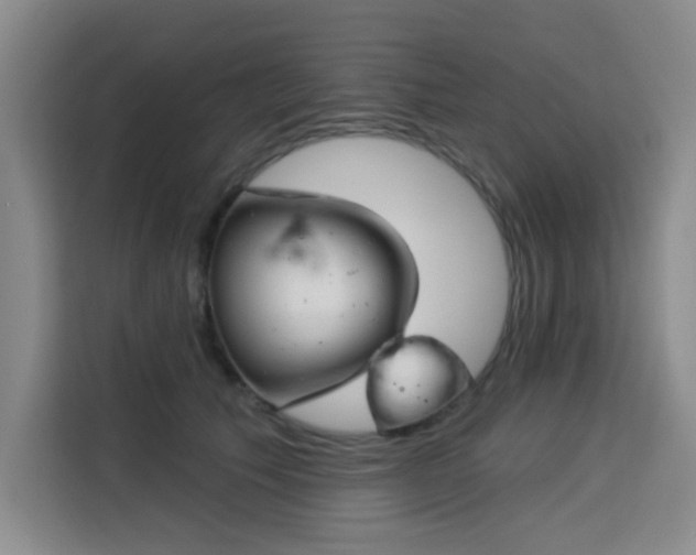 X0000113740609200909301012