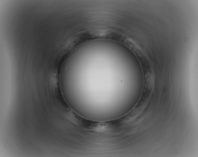 X0000113740612200909301012