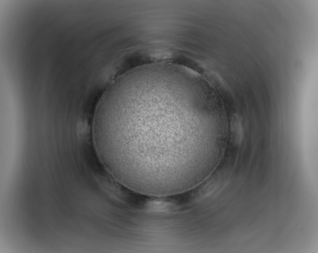 X0000113740614200909301012