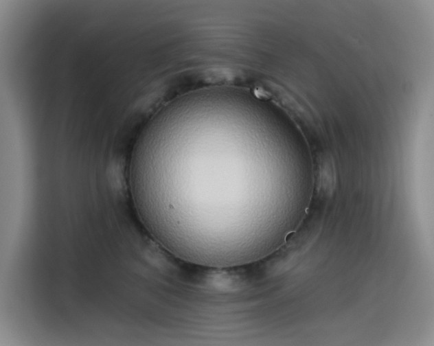 X0000113740616200909301012