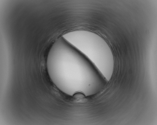 X0000113740617200909301012