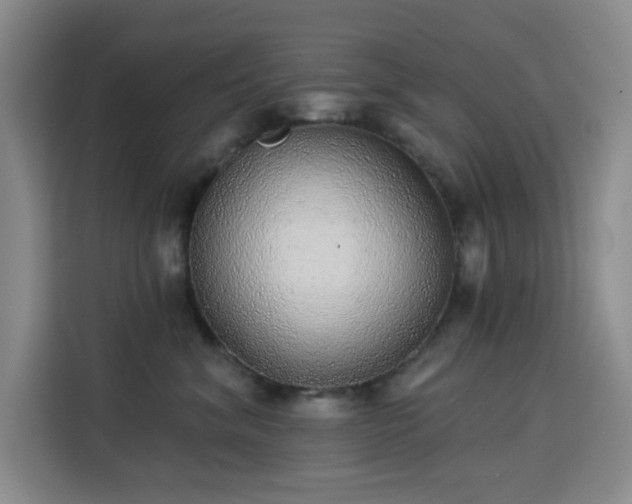 X0000113740620200909301012