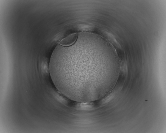 X0000113740622200909301012