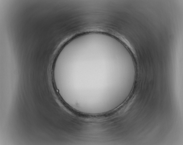 X0000113740625200909301012