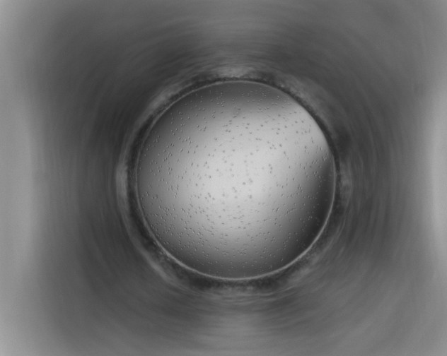 X0000113740626200909301012