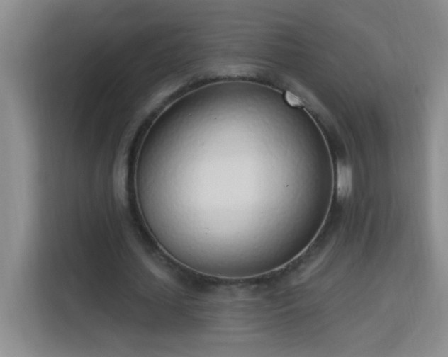 X0000113740627200909301012