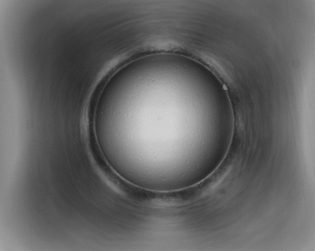 X0000113740630200909301012